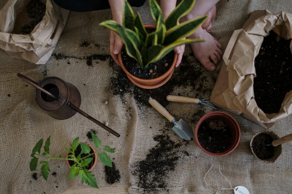pexels-photo-4503267-4503267 A serene scene of home gardening with potted plants and tools on a burlap mat.